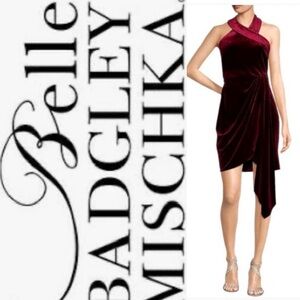 Belle Badgley Mischka Velvet Dress